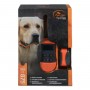 SportDog Trainer 875 1 Collar (up to 3 collars) - SPORTDOG