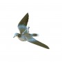 European Dove In Flight With Directional Wind System Fl - SPORT PLAST