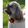 D-Mute Small for medium-small sized dogs - DOG TRACE